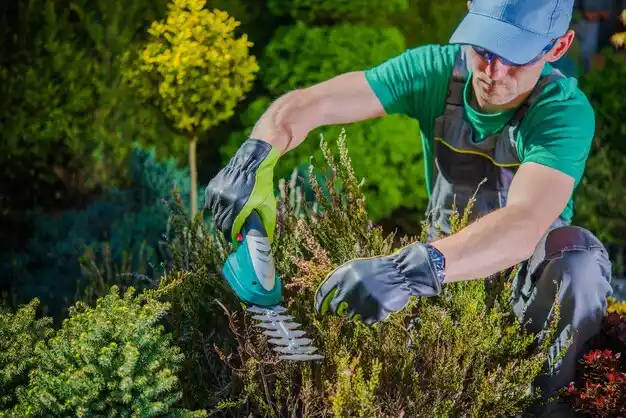 landscaping services Ama